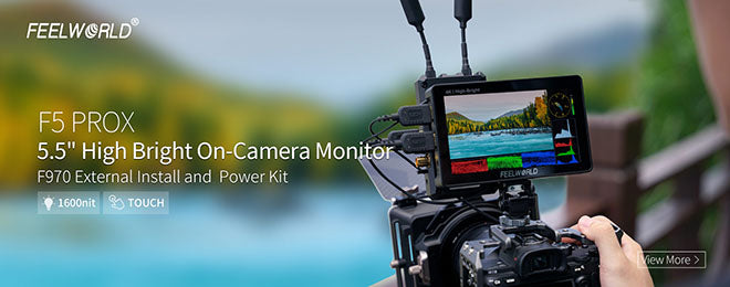 camera monitor