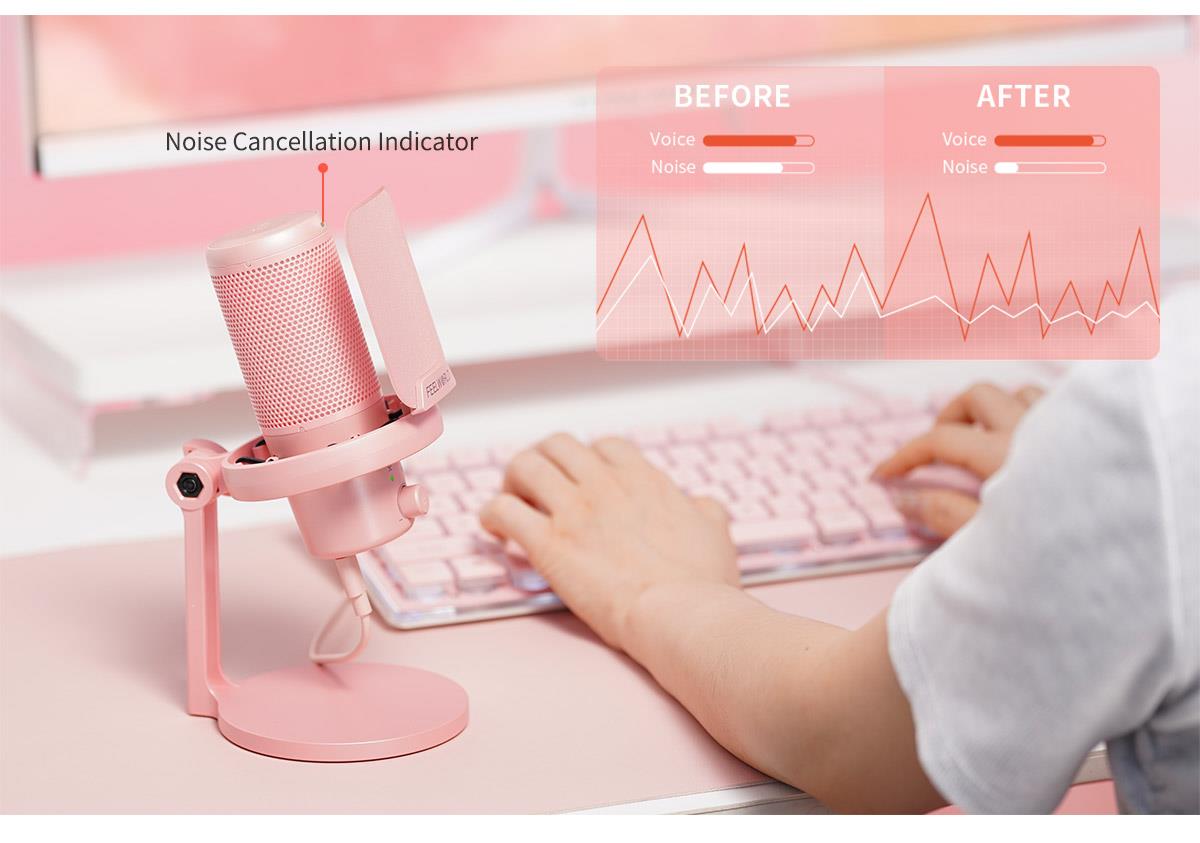 noise cancellation mic